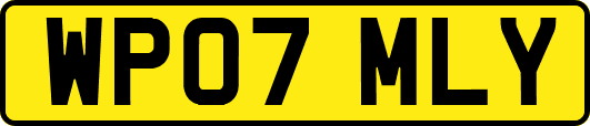 WP07MLY
