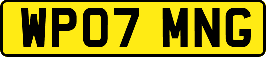 WP07MNG