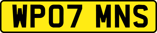 WP07MNS