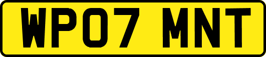 WP07MNT