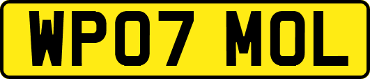 WP07MOL