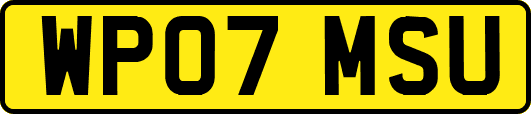 WP07MSU