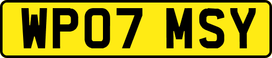 WP07MSY
