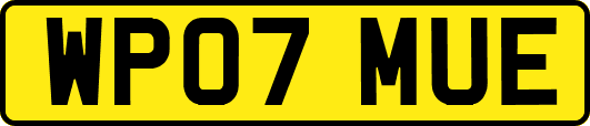 WP07MUE