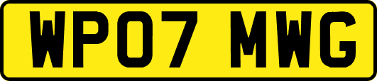 WP07MWG