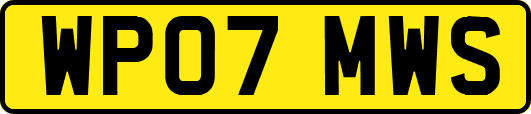 WP07MWS