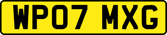 WP07MXG