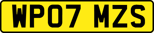 WP07MZS
