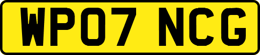 WP07NCG