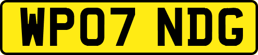 WP07NDG