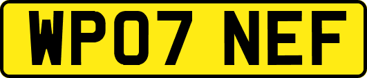 WP07NEF