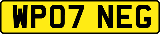 WP07NEG