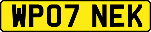 WP07NEK
