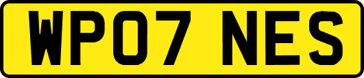 WP07NES