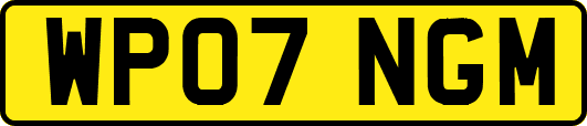 WP07NGM