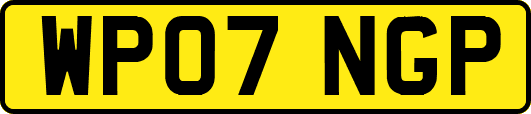 WP07NGP