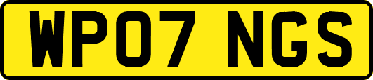 WP07NGS