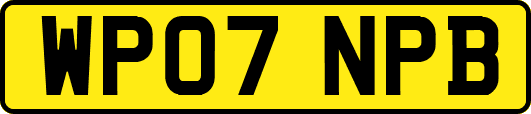 WP07NPB