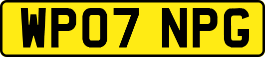 WP07NPG