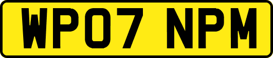 WP07NPM