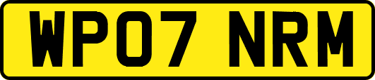 WP07NRM