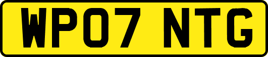 WP07NTG