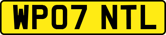 WP07NTL