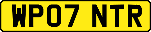WP07NTR