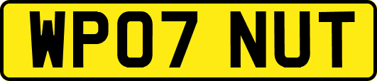 WP07NUT