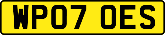 WP07OES