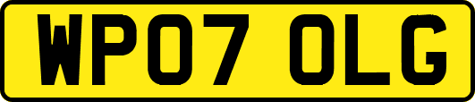 WP07OLG