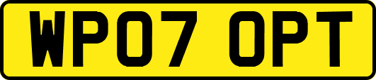 WP07OPT