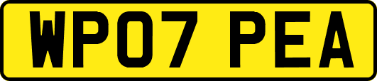 WP07PEA