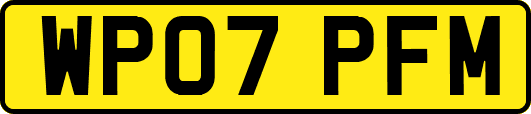 WP07PFM