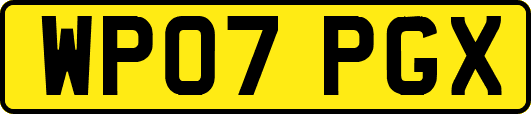 WP07PGX