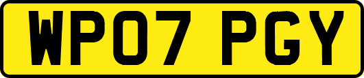 WP07PGY