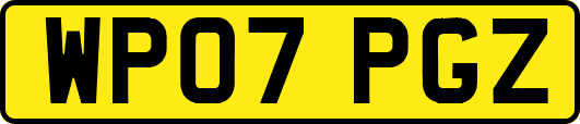 WP07PGZ