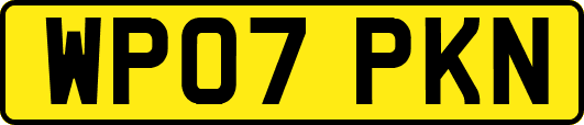 WP07PKN
