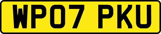 WP07PKU