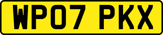WP07PKX