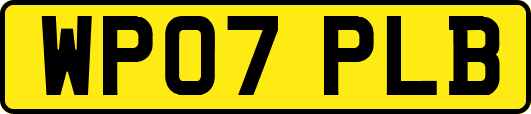 WP07PLB