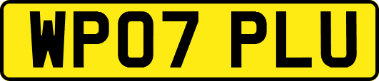 WP07PLU