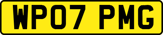 WP07PMG