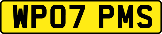 WP07PMS