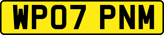 WP07PNM