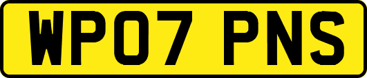 WP07PNS