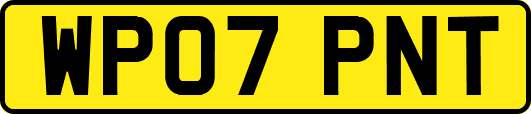 WP07PNT