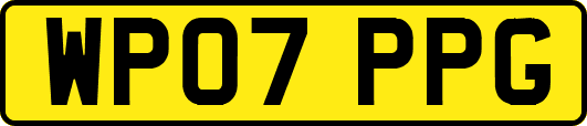 WP07PPG