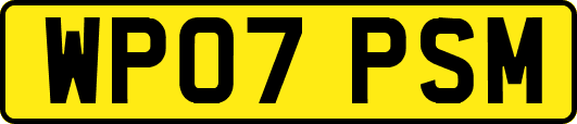 WP07PSM