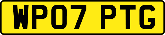 WP07PTG